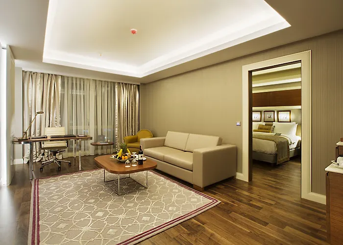 데데만 보스탄시 호텔&컨벤션 센터 5* 이스탄불