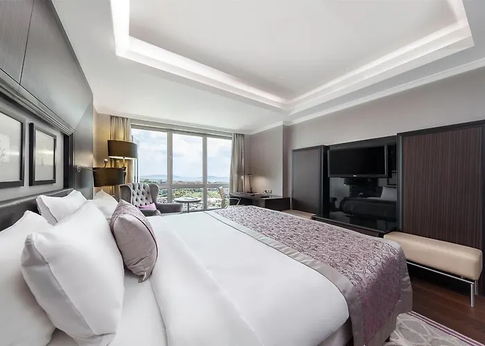 데데만 보스탄시 호텔&컨벤션 센터 호텔 이스탄불