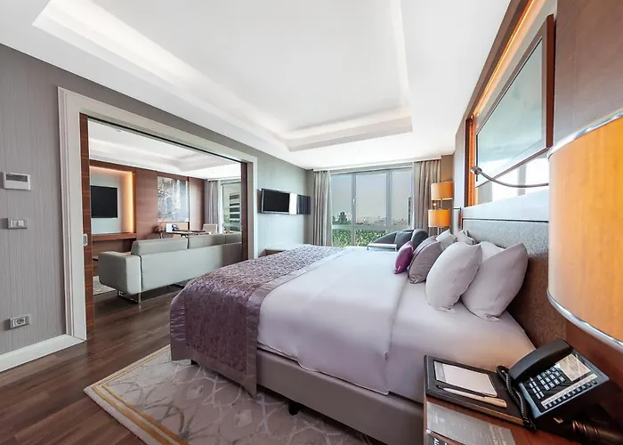 데데만 보스탄시 호텔&컨벤션 센터 호텔 이스탄불