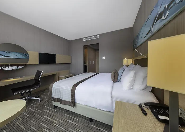 데데만 보스탄시 호텔&컨벤션 센터 호텔 이스탄불