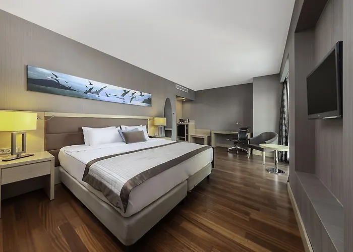 데데만 보스탄시 호텔&컨벤션 센터 호텔 5*