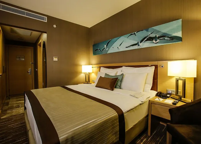 데데만 보스탄시 호텔&컨벤션 센터 5* 이스탄불