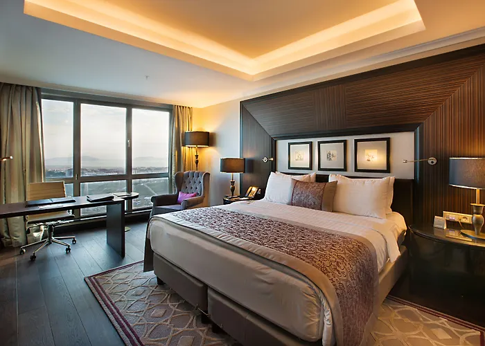 데데만 보스탄시 호텔&컨벤션 센터 5* 이스탄불