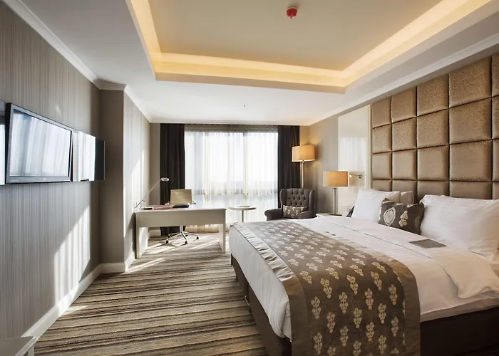 데데만 보스탄시 호텔&컨벤션 센터 호텔 이스탄불