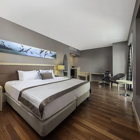 Dedeman Bostanci & Convention Center Отель 5*